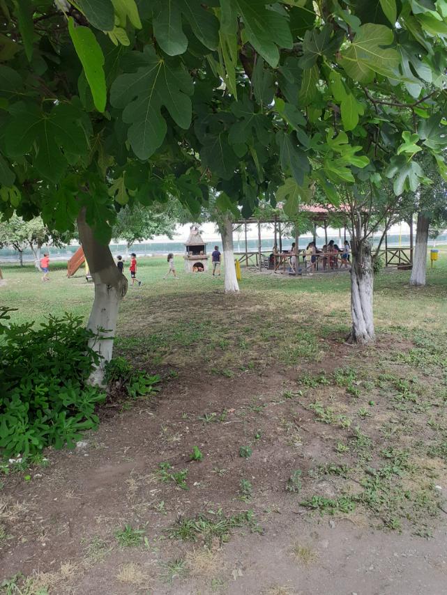 Μία ημέρα, ένα μάθημα: Παγκόσμια ημέρα Δασών / 21 Μαρτίου